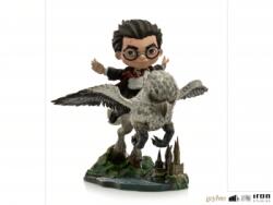LexShop Harry Potter and Buckbeak - Harry Potter - MiniCo Illusion (602883134935) Figurina