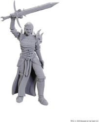 WizKids D&D Nolzur’s Marvelous Miniatures - Blackguard (634482907726) Figurina