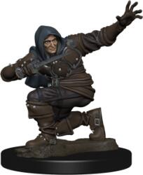 WizKids Pathfinder Battles: Premium Painted Figure - Human Rogue Male (634482775004) Figurina
