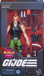 Hasbro G. I. Joe Classified Series Ninja Force Zartan Action Figure 15 cm (5010996361127) Figurina