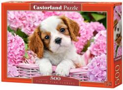 Castorland Puzzle 500 piese Pup in Pink Flowers 52233 (5904438052233) Puzzle