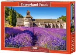 Castorland Puzzle 1000 piese Camp de Levantica in Provence, Franta 104284 (5904438104284) Puzzle