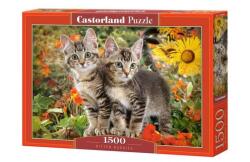 Castorland Puzzle 1500 piese Kitten Buddies 151899 (5904438151899) Puzzle