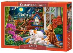 Castorland Puzzle 1500 piese Kittens on the Roof 152056 Castorland (5904438152056) Puzzle