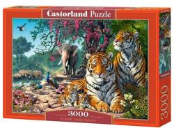 Castorland Puzzle 3000 piese Tiger Sanctuary 300600 Castorland (5904438300600) Puzzle