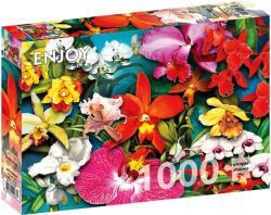Enjoy Puzzle Puzzle 1000 piese Enjoy - Orchid Jungle (5949194020331) Puzzle