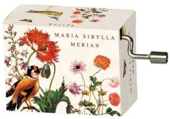 Fridolin Flasneta Maria Sibylla Merian, Fridolin (BO-Fr_58562)
