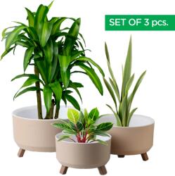 ginzamaison Set 3 Ghivece, ginzamaison, model ELITE, 3 Picioare Pliabile, Forma Rotunda, Suport interior pentru Drenaj, Culoare Crem, Diametru: 1x15 cmm, 1x18 cm, 1x22 cm (GNZ-ALY-641-C)