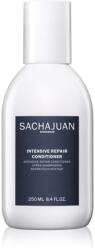 SACHAJUAN Intensive Repair Conditioner balsam pentru păr degradat, expus la soare 250 ml