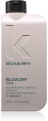 KEVIN.MURPHY Blow. Dry Wash sampon hranitor petru par fragil si fara vlaga 250 ml