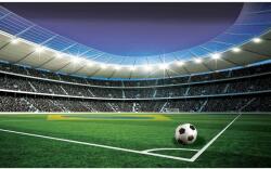 DEGRETS Fotótapéta DEGRETS 83543 Stadion, 184x254cm (83543)