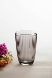  Hermia Glass Set (4 Pieces) Fume Splendid 395 - Fume