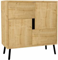 Hanah Home Többcélú szekrény Sapphire Oak Black Wood Darien - Sapphire Oak, Black Wood (8684284520731)