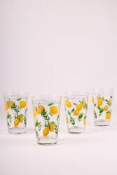  Hermia Glass Set (4 Pieces) Transparent Bodrum 395