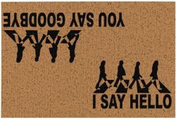 IRIS KT-291 Hello-Goodbye 50x80 cm