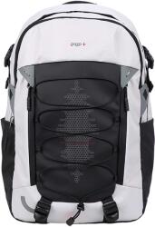 BAGGO Flex (abt0789)