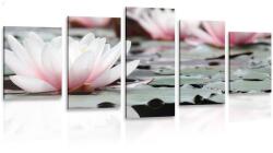 Dovido Tablou 5-piese floare de lotus - 200x100