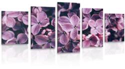 Dovido Tablou 5-piese flori violete de liliac - 150x75