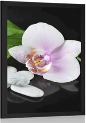 Dovido Poszter zen kövek és orchidea - 60x90 white