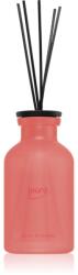 ípuro Classic Orchidée difuzor de aroma 240 ml