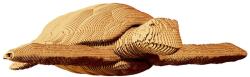 Cartonic Puzzle 3D Cartonic din240 piese - Țestoasă (CARTTURT)