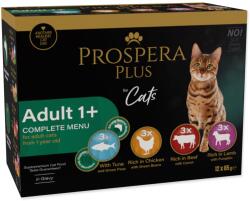 Prospera Plus Plus Adult 1+ tasak, 12x 85g