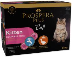 Prospera Plus Plus Kitten alutasakos eledel, 12 x 85 g