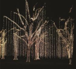 Dablerom Sir exterior 100 LED Alb Cald cu Cablu Negru 10m - PRO (DD-9004-WW)
