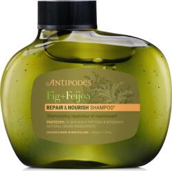 Antipodes Fig + Feijoa Repair & Nourish sampon - 340 ml