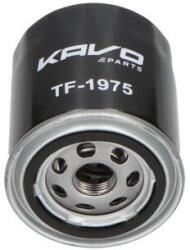 KAVO PARTS Filtru combustibil - kavo TF-1975 KAVO PARTS TF1975 (TF-1975)