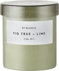 blomus Lumânare parfumată Valoa Agave Green L (65296)