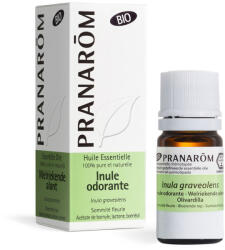 Pranarom Peremizs - inula graveolens bio 5 ml