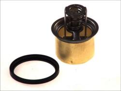 THERMOTEC Termostat, lichid racire THERMOTEC D2RV001TT (D2RV001TT)