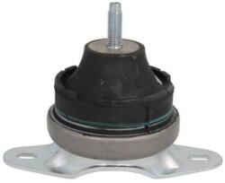 REINHOCH Suport motor REINHOCH RH11-2041 (RH11-2041) - fixbox