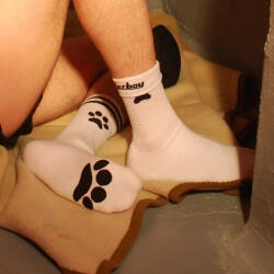 Sk8erboy Socks Puppy Sk8terboy - stílusos kutyás zokni fiatalos dizájnnal - szexvital