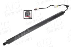AIC Motor electric, haion AIC 75647 (75647)