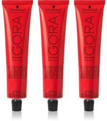 Schwarzkopf IGORA Royal culoare par ambalaj economic culoare 4-0 Medium Brown 3x60 ml