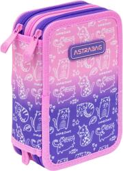 Astra Penar cu instrumente de scris Astra Kitty - 3 fermoare (AS503026008) Penar