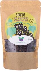 SWEETERIA Stafide drajate in ciocolata, 250 g, Sweeteria