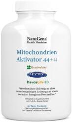 NatuGena Mitochondria Activator 44+14, 240 capsule, NatuGena