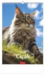 TopTimer Naptár, fali, TOPTIMER, "Cicák (NKT09411U) - webpapir