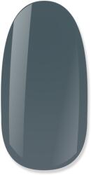 NiiZA Gel Polish 4ml - 262 - gellakk