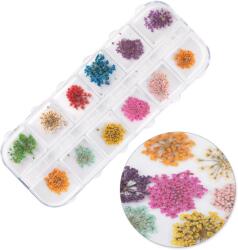Xdeep Beauty Flori uscate pentru decorarea unghiilor 24 buc