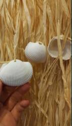  Raffia Dekoráció Kagylókkal (991391931)