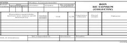 Formulare tipizate Bon consum colectiv , format 1/2 A4 , 100 coli/carnet (NL-010203) - forit