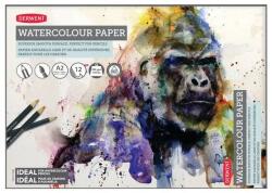 DERWENT Caiet pentru desen pe baza de apa DERWENT Proffesional, A2, 12 coli, 300gsm, hartie alba (DW-2301972)