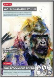 DERWENT Caiet pentru desen pe baza de apa DERWENT Proffesional, A5, 12 coli, 300gsm, hartie alba (DW-2301969)