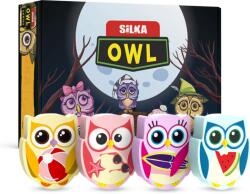Silka Cutie cu radiere pt creion, nu lasa reziduuri, 36buc/cutie, SILKA Owl-forma bufnita, design asortat (SK-501679)