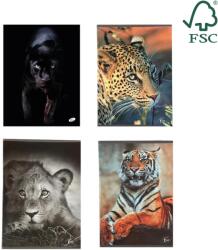 Caiete scolare import Caiet A5, 48 file, 80gsm, coperta carton 300gsm, design animals - matematica (EP-061528)
