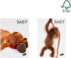 Caiete scolare import Caiet TIP1, 36 file, 80gsm, coperta carton 300gsm, design baby pets (EP-696941)